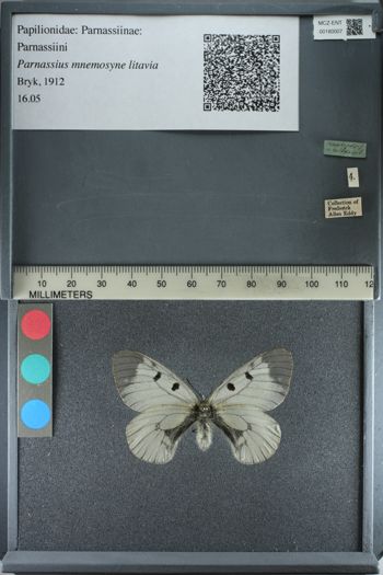 Media type: image;   Entomology 180007